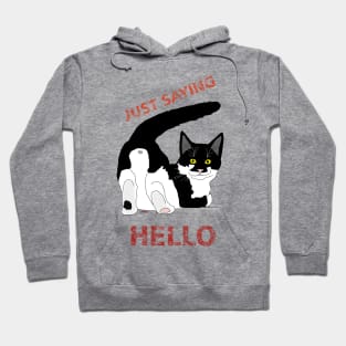 A Tuxedo Cat butt hello  Copyright TeAnne Hoodie